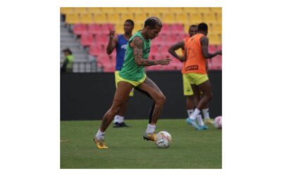 Leopardos vs Tiburones. ¿Quién Ganará?